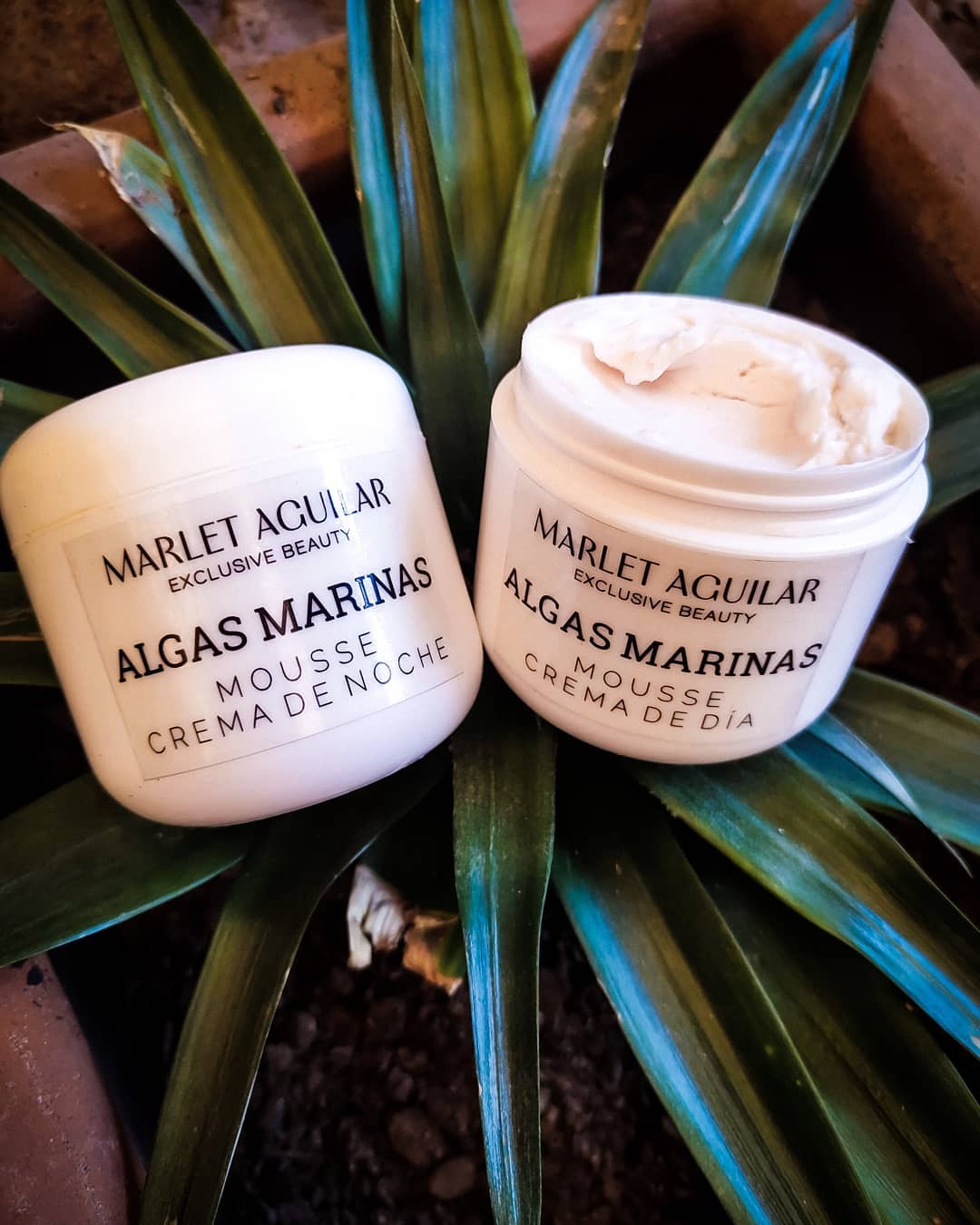 ✨ Nuestro Tratamiento de Algas Marinas ✨  Una textura suave, ligera y súper H...